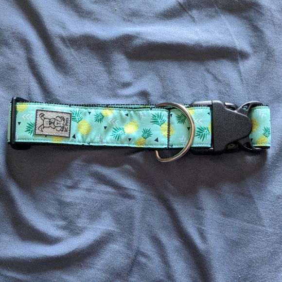 RC Pets Wide Clip Collar - Pineapple - Picture 1 of 4